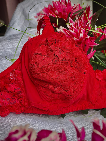 Elezyo Comfort lace Bra & Panty Set (Red, Beige & Rani Pink)