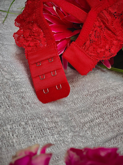 Elezyo Comfort lace Bra & Panty Set (Red, Beige & Rani Pink)